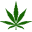 weedworld.co.uk icon
