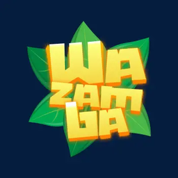 weesepoint.it icon