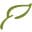 weforest.org icon