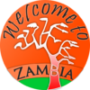 welcometozambia.com icon