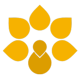 wellanguage.com icon