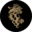 wellhungvineyard.com icon