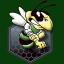 wellsboroathletics.com icon
