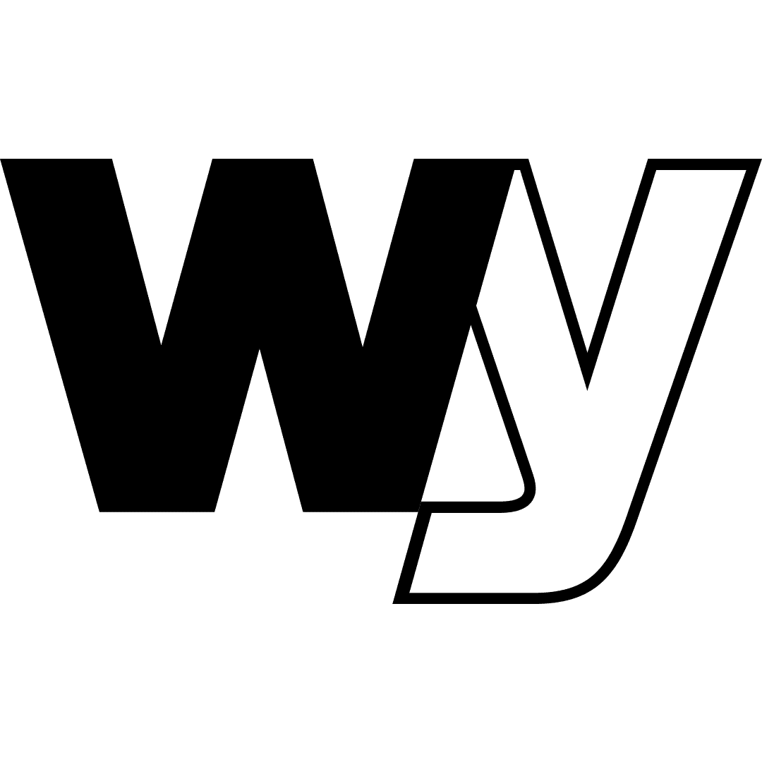 wellyou.eu icon