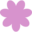 welshice.org icon