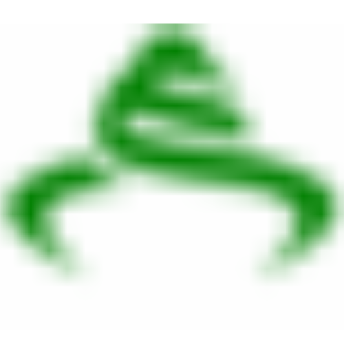 westernmusicstudio.nl icon
