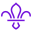 westlancsscouts.org.uk icon