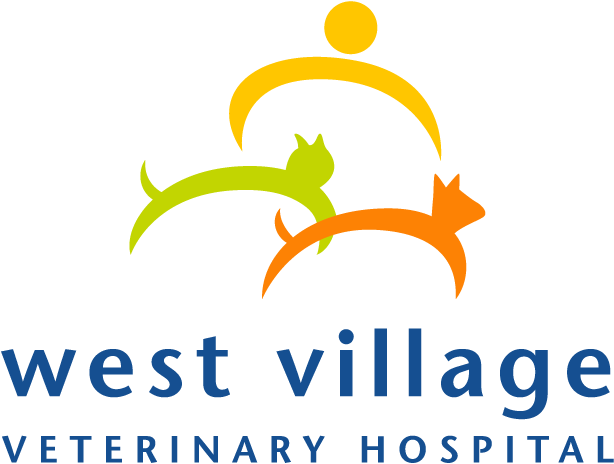 westvillagevets.com icon