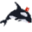 Whale Tracker