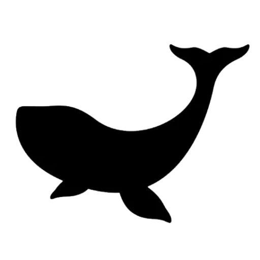 whalesongsnoosa.com.au icon