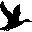whc.org icon
