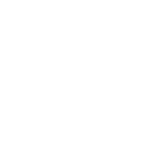 wheelforce.de icon
