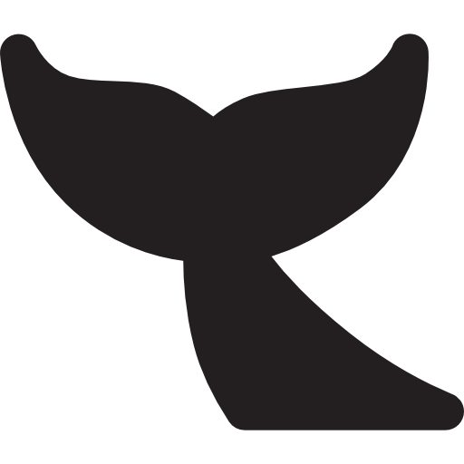 whileint.com icon