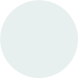 whistleportal.co icon