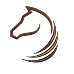 whitehorse-radio.com icon