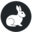 whiterabbit.group icon