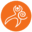 wholewomanshealthalliance.org icon