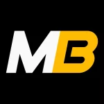 whynotstudio.ru icon