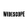 widescopeproductions.com icon