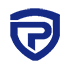 widevpn.com logo