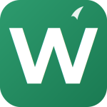 wiki.ro icon