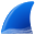 wiki.wireshark.org icon