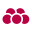 wild-brennerei.de icon