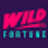 wild-fortune-casino.net icon