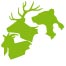 wild-freizeitpark-westerwald.de icon
