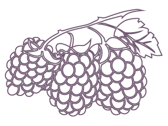 wildberries.com logo