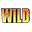 wildfloridairboats.com icon
