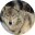 wildlife-animals.com icon