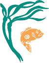 wildorca.org icon