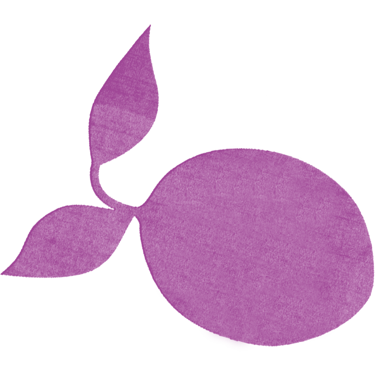 wildplumbooks.com icon