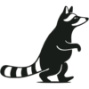 wildraccoon.it icon
