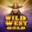 wildwestgoldoyna1.com icon