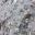 willallendorfer.com icon