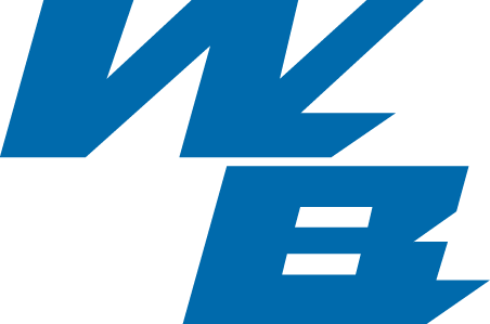 willibetz.com icon