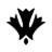 willit.fi icon