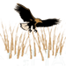 Winghaven Country Club logo