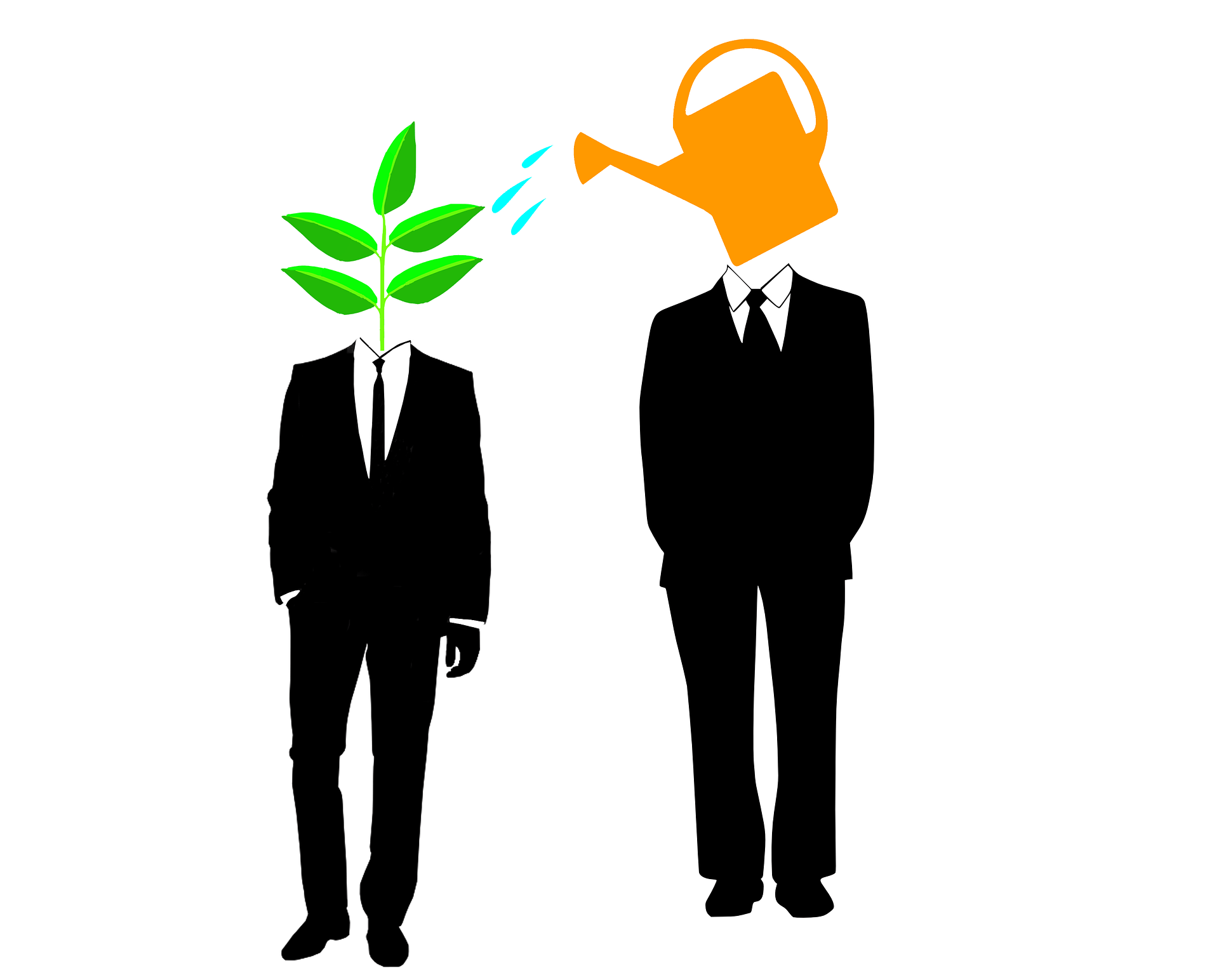 wingscapital.com icon
