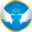 wingspublication.com icon