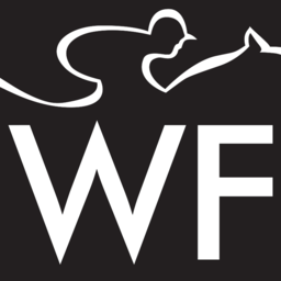 winningform.co.za icon
