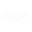 winsharkcasinoaustralia.com icon