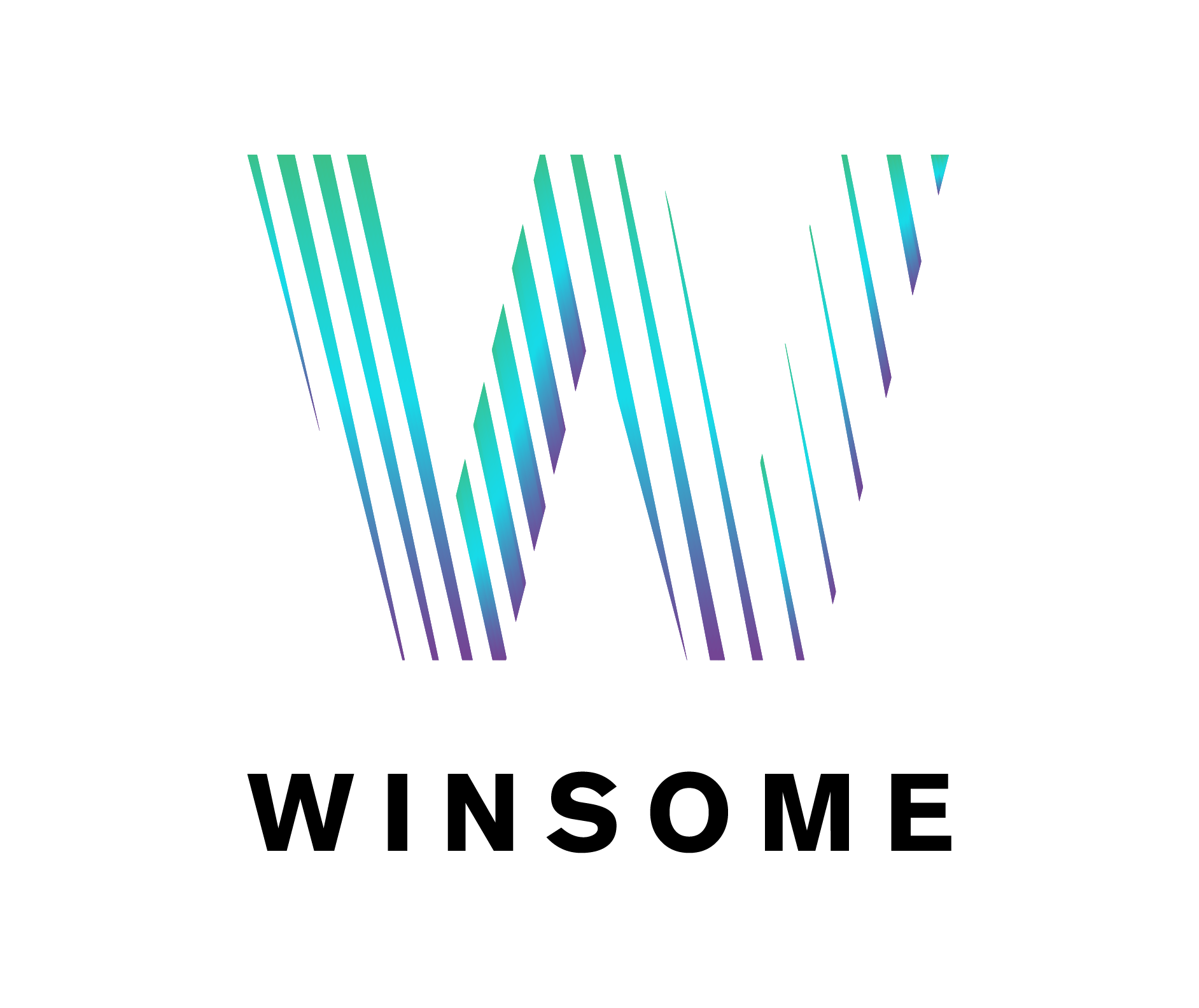 winsomemarketing.com