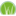 wintergreengrass.com icon