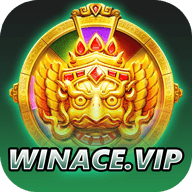 winwin01.top icon