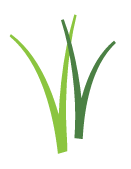 wisconsinwetlands.org icon