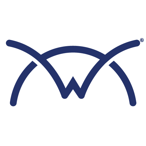 wise-pay.com icon