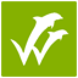 wiseflow.net icon